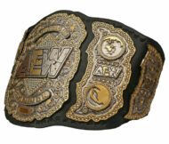 AEW CLASSIC HEAVYWEIGHT REPLICA Championship Belt