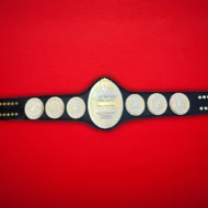 AEW WOMENS REPLICA Championship Belt