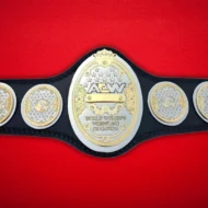 AEW WOMENS REPLICA Championship Belt