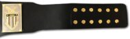 AWA WORLD HEAVYWEIGHT Championship Belt