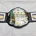 AWA WORLD TAG TEAM BRASS METAL Championship Belt