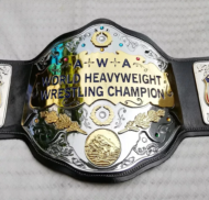 AWA WORLD TAG TEAM BRASS METAL Championship Belt