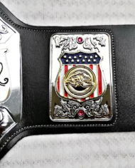 AWA WORLD TAG TEAM BRASS METAL Championship Belt