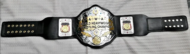 AWA WORLD TAG TEAM BRASS METAL Championship Belt