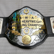 AWA WORLD TAG TEAM BRASS METAL Championship Belt