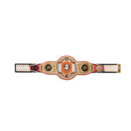 Anaheim Ducks NHL Championship Belt