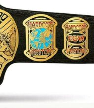 ECW Championship WORLD HEAVYWEIGHT Championship Belt