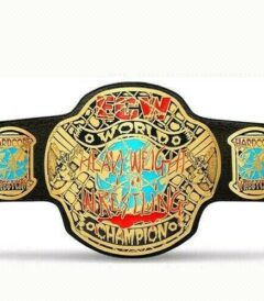 ECW Championship WORLD HEAVYWEIGHT Championship Belt