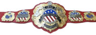 IWGP UNITED STATES DOUBLE STACKED Championship Belt