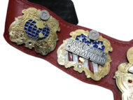 IWGP UNITED STATES DOUBLE STACKED Championship Belt