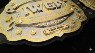 IWGP V4 HEAVYWEIGHT Zinc Championship Belt