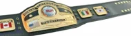 NWA DOMED GLOBE HEAVYWEIGHT 24K GOLD Championship Belt