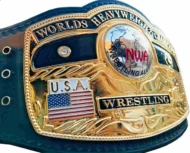 NWA DOMED GLOBE HEAVYWEIGHT 24K GOLD Championship Belt