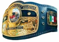 NWA DOMED GLOBE HEAVYWEIGHT 24K GOLD Championship Belt