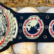 ROH HEAVYWEIGHT Brass Championship Belt