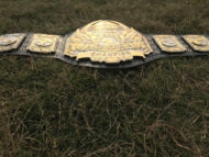 TNA HEAVYWEIGHT 24K GOLD Championship Belt