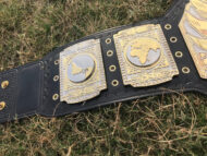 TNA HEAVYWEIGHT 24K GOLD Championship Belt