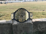 TNA HEAVYWEIGHT 24K GOLD Championship Belt