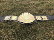 TNA HEAVYWEIGHT 24K GOLD Championship Belt