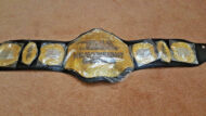 TNA HEAVYWEIGHT Brass Championship Title Belt