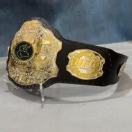 UFC MMA Zinc Championship Belt