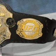 UFC MMA Zinc Championship Belt