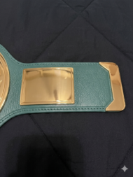 WWE 247 CLASSIC Brass Championship Belt