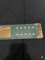 WWE 247 CLASSIC Brass Championship Belt