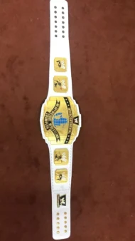 WWF INTERCONTINENTAL WHITE Zinc Championship Title Belt