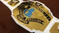 WWF INTERCONTINENTAL WHITE Zinc Championship Title Belt