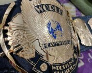 WWF WINGED EAGLE 24K GOLD Championship Title Belt