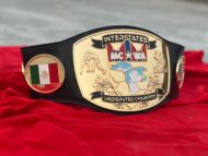 Fully Customized 24K Gold CNC Championship Belt