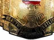 WCW US HEAVYWEIGHT 24K GOLD Zinc Championship Belt - Image 5