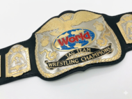 WWF WORLD TAG TEAM DUAL PLATED 24K GOLD Zinc Championship Belt - Image 5