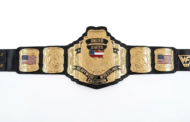 WCW US HEAVYWEIGHT 24K GOLD Zinc Championship Belt - Image 2