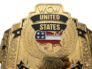 WCW US HEAVYWEIGHT 24K GOLD Zinc Championship Belt - Image 4