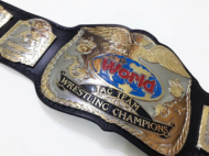 WWF WORLD TAG TEAM DUAL PLATED 24K GOLD Zinc Championship Belt - Image 3