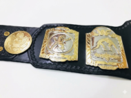 WWF WORLD TAG TEAM DUAL PLATED 24K GOLD Zinc Championship Belt - Image 8