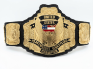 WCW US HEAVYWEIGHT 24K GOLD Zinc Championship Belt