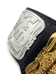 WCW US HEAVYWEIGHT 24K GOLD Zinc Championship Belt - Image 9