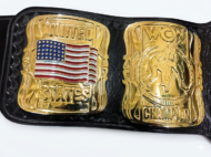 WCW US HEAVYWEIGHT 24K GOLD Zinc Championship Belt - Image 7