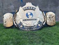 WWF WINGED EAGLE DUAL PLATED 24K GOLD Championship Title Belt