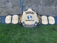 WWF WINGED EAGLE DUAL PLATED 24K GOLD Championship Title Belt