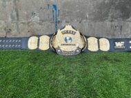 WWF WINGED EAGLE DUAL PLATED 24K GOLD Championship Title Belt