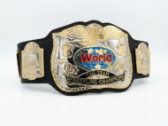 WWF WORLD TAG TEAM DUAL PLATED 24K GOLD Zinc Championship Belt