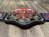 NWA Championship TELEVISION HEAVYWEIGHT 24K Nickle Zinc Championship Belt