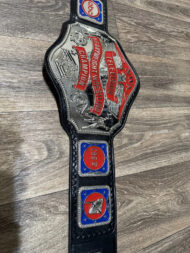 NWA Championship TELEVISION HEAVYWEIGHT 24K Nickle Zinc Championship Belt