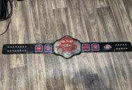NWA Championship TELEVISION HEAVYWEIGHT 24K Nickle Zinc Championship Belt