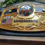 NWA Domed Globe Heavyweight 3D CNC Made Championship Belt
