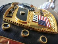 NWA Domed Globe Heavyweight 3D CNC Made Championship Belt